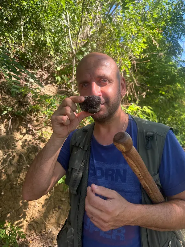 Local truffle hunter holding a freshly found truffle in the Tuscan countryside
