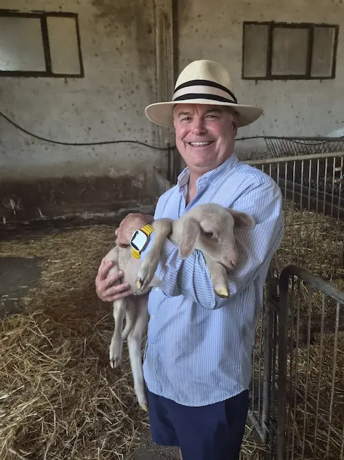 guest visiting sheep farm pienza tuscany